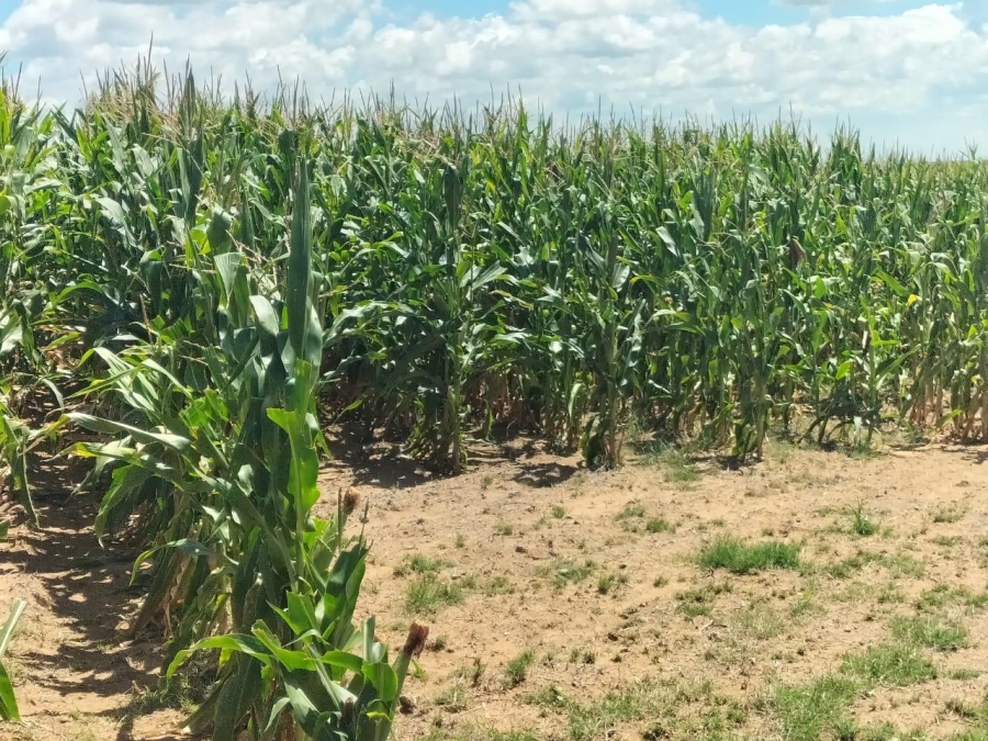 2 Bedroom Property for Sale in Bethlehem Rural Free State